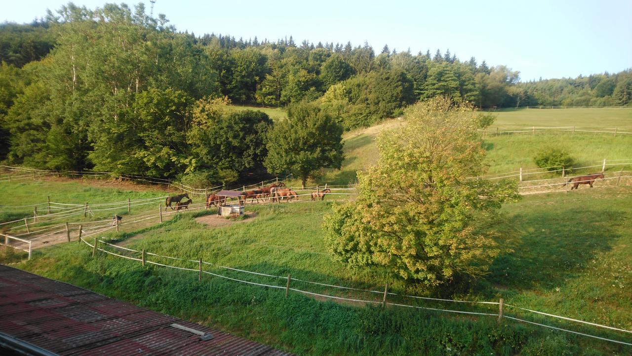 Žrebčín Mlynčok Slovenska Lupca Exterior foto