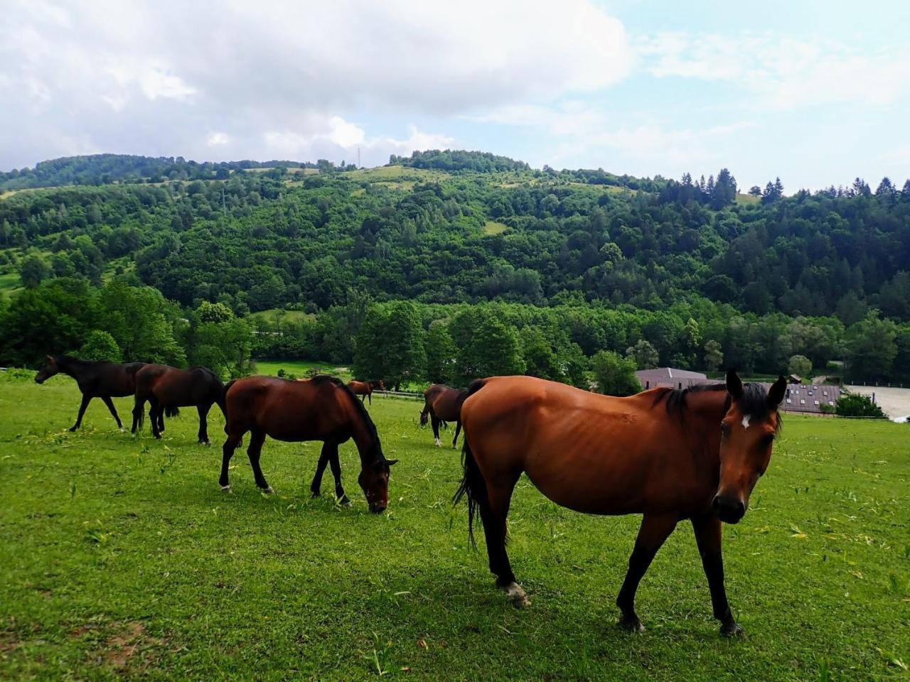 Žrebčín Mlynčok Slovenska Lupca Exterior foto