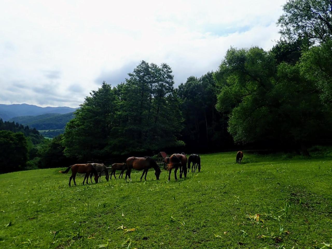 Žrebčín Mlynčok Slovenska Lupca Exterior foto