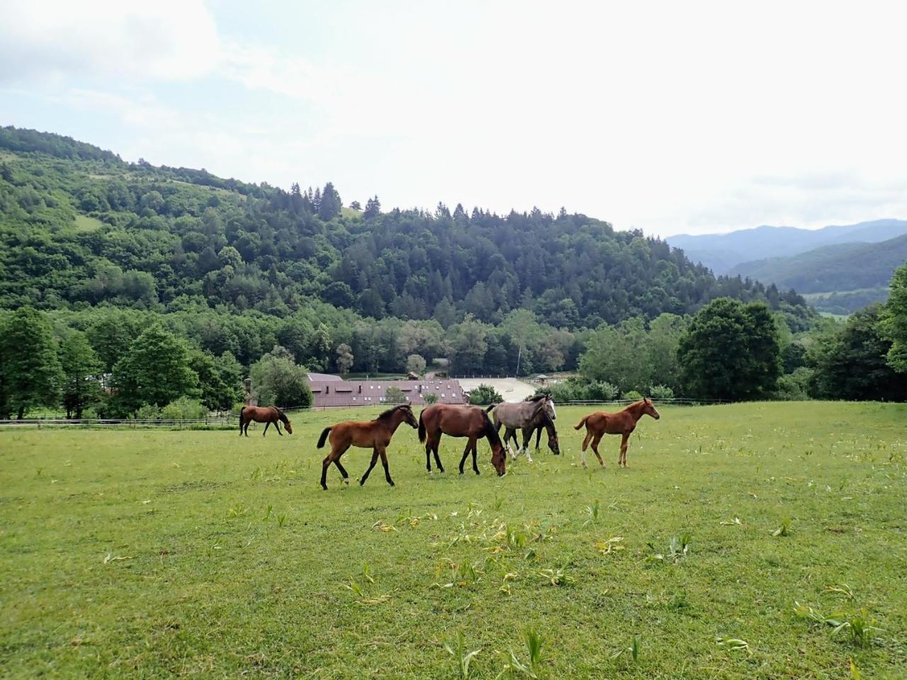 Žrebčín Mlynčok Slovenska Lupca Exterior foto